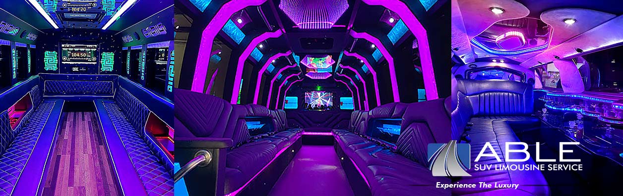 Dallas Wedding Limo Party Bus Service Rentals DFW Transportation Dallas Wedding Limo Party Bus Service Rentals DFW Transportation